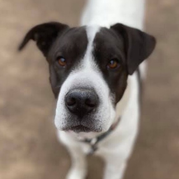 Meet your Posher, Kristina - Picture 1 of 1